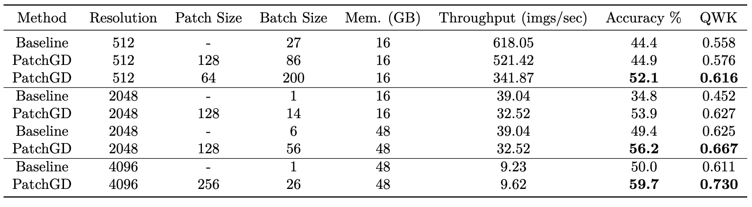 Table 1. Performance comparison between PatchGD and conventional gradient descent methods in Nyun Zero for ResNet50 architecture.